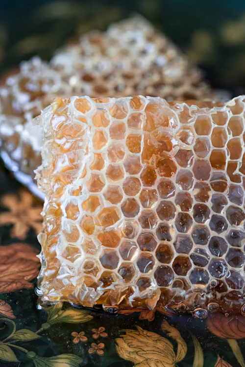 Apiculture traditionnelle en Belgique
